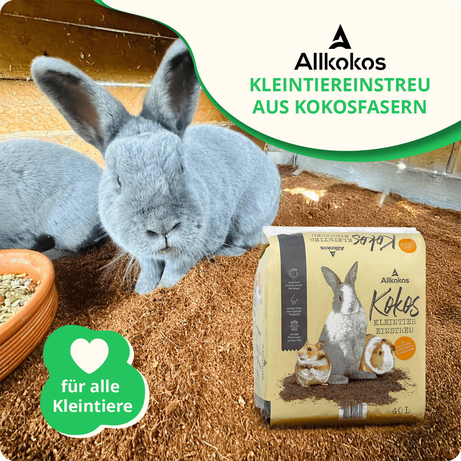 Carton Boxes packaging