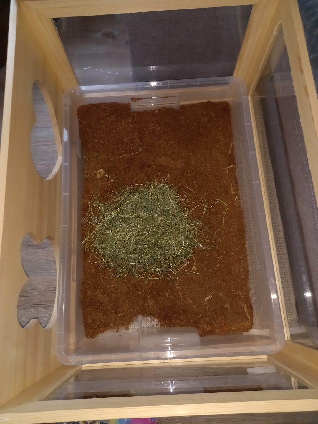 Buddelkiste mit frischer Kokoseinstreu und einem Nest aus Heu, bereit zum Graben. Kundenfoto aus einer Bewertung.